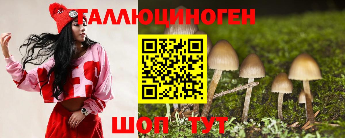 Елец  Псилоцибиновые грибы мухоморы  Вход с VPN 